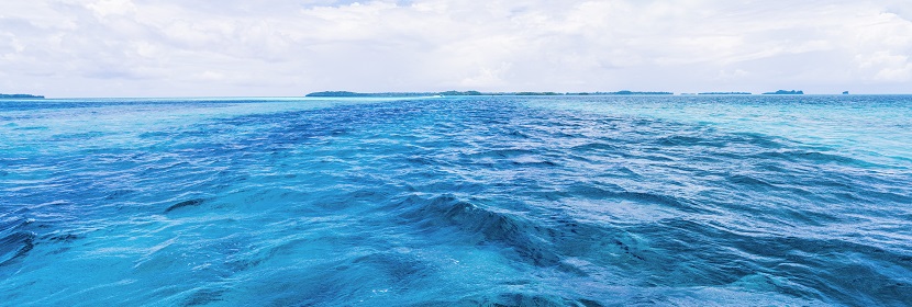 海洋環境監測