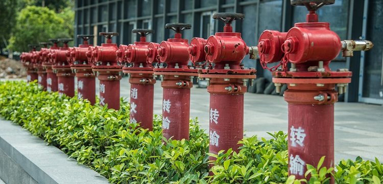 豬血清檢測