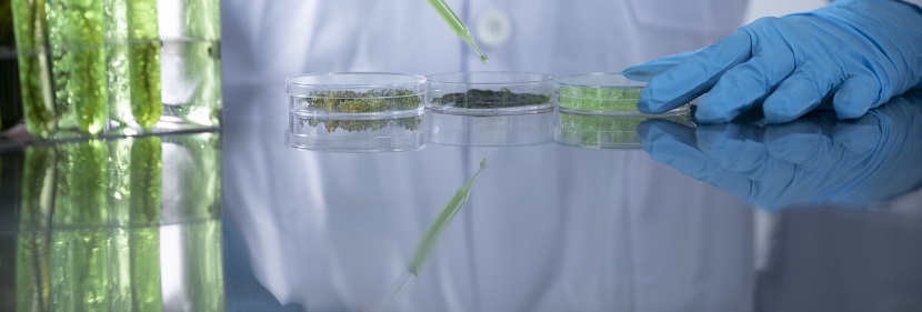 膠水檢測